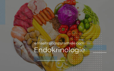 Endokrinologie & Ernährungspyramide