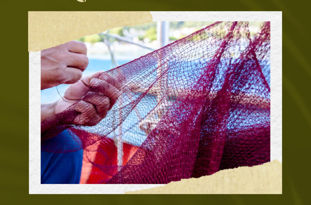 Der Blaue Stempel des Vertrauens: Was steckt hinter dem MSC-Siegel?